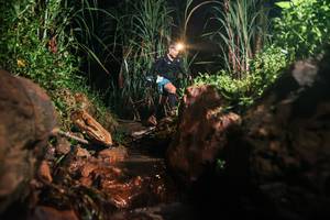 BIB: 
                            <button type="button" onclick="openModal(26414311)" class="btn btn-primary btn-sm float-right btn-popup" data-toggle="modal" data-target=".modal-high-quality">
                        <i class="fas fa-shopping-cart"></i> Add to Cart
                    </button>
                                            <button type="button" onclick="isThisMe(26414311, true)" class="btn btn-success btn-sm float-right btn-popup btn-isme hidden" data-toggle="tooltip" data-placement="bottom" title="นี่คือรูปของคุณใช่ไหม คลิกที่นี่เพื่อเอาเข้าอัลบั้ม">
                        <i class="fas fa-plus"></i> Add to album
                    </button>
                    <button type="button" onclick="isThisMe(26414311, false)" class="btn btn-warning btn-sm float-right btn-popup btn-isnotme hidden">
                        <i class="fas fa-ban"></i> Remove from album
                    </button>